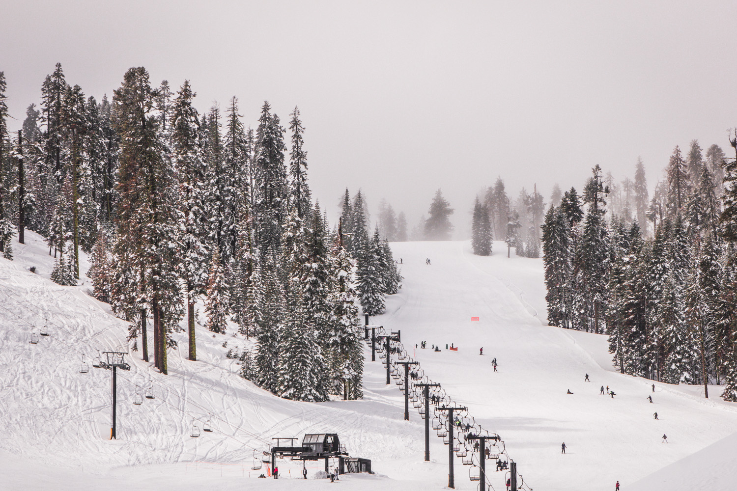 Badger Pass photo